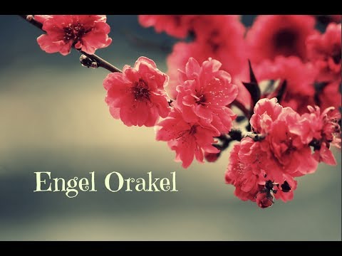 Engel Orakel 💕