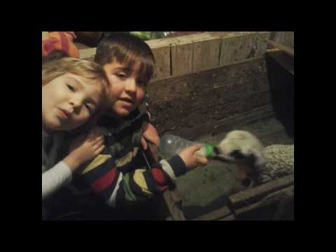 POVESTEA SATULUI TRANSILVĂNEAN BOBOHALMA ÎN IMAGINI