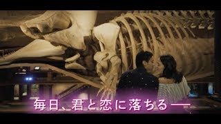 『50回目のファーストキス』2chでの評価 mqdefault - 『50回目のファーストキス』2chでの評価