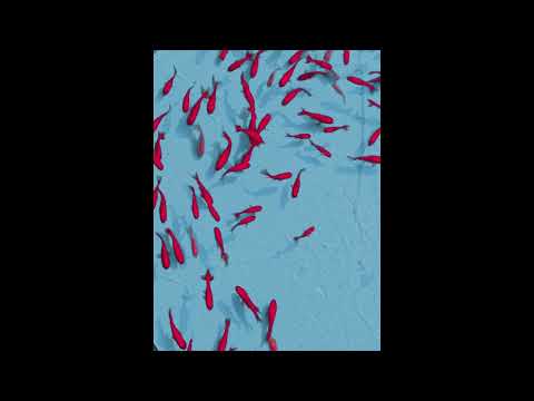 [FREE] J9ueve x Keeqaid Type Beat - "Ma vibe"