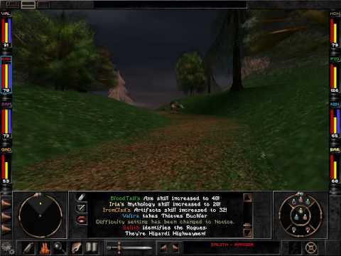 wizardry 8 pc manual