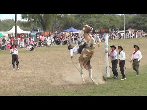 El Mundial de la Jineteada 167 - Villa Robles - Santiago del Estero