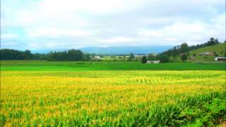 Beachwood Sparks-Talk About Lonesome