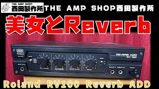 【試奏動画〜売約済】ミルトンの美女が組み立てていたらしいRoland RV100 Reverb ADDのご紹介【参考動画～SOLD】