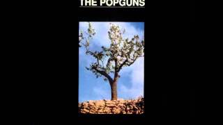 Because He Wanted To - The Popguns