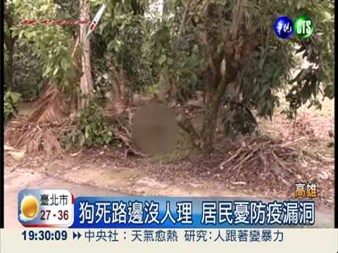 狗打狂犬疫苗猝死 新北.高雄2例