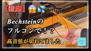 Download lagu [悲報]ベヒシュタインのフルコンレンタルしたら、まさかの高音弦が切れてました... mp3