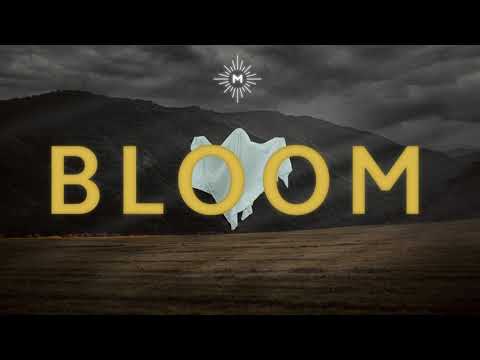 Saint Mesa - Bloom (Lyric Video)