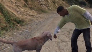 GTA 5: how to get a dog online (parody)