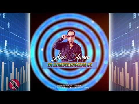Anil Bheem - Ek Ajnabee Haseena Se [Bollywood Refix]