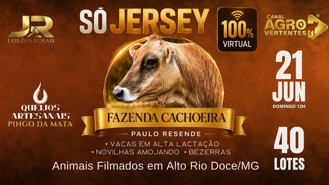 LEILÃO VIRTUAL FAZENDA CACHOEIRA - SÓ JERSEY - PAULO RESENDE - ALTO RIO DOCE/MG - 21/06/2026