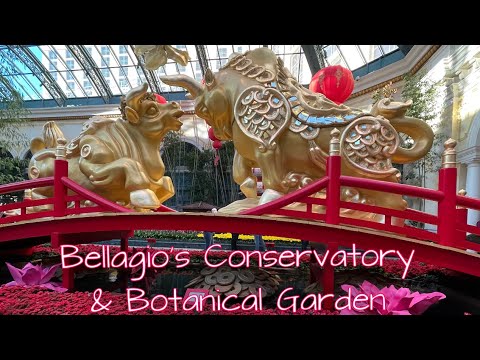 Bellagio’s Conservatory & Botanical Garden || Las Vegas Nevada