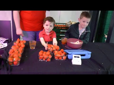 Aardbeienkweker Royal Berry