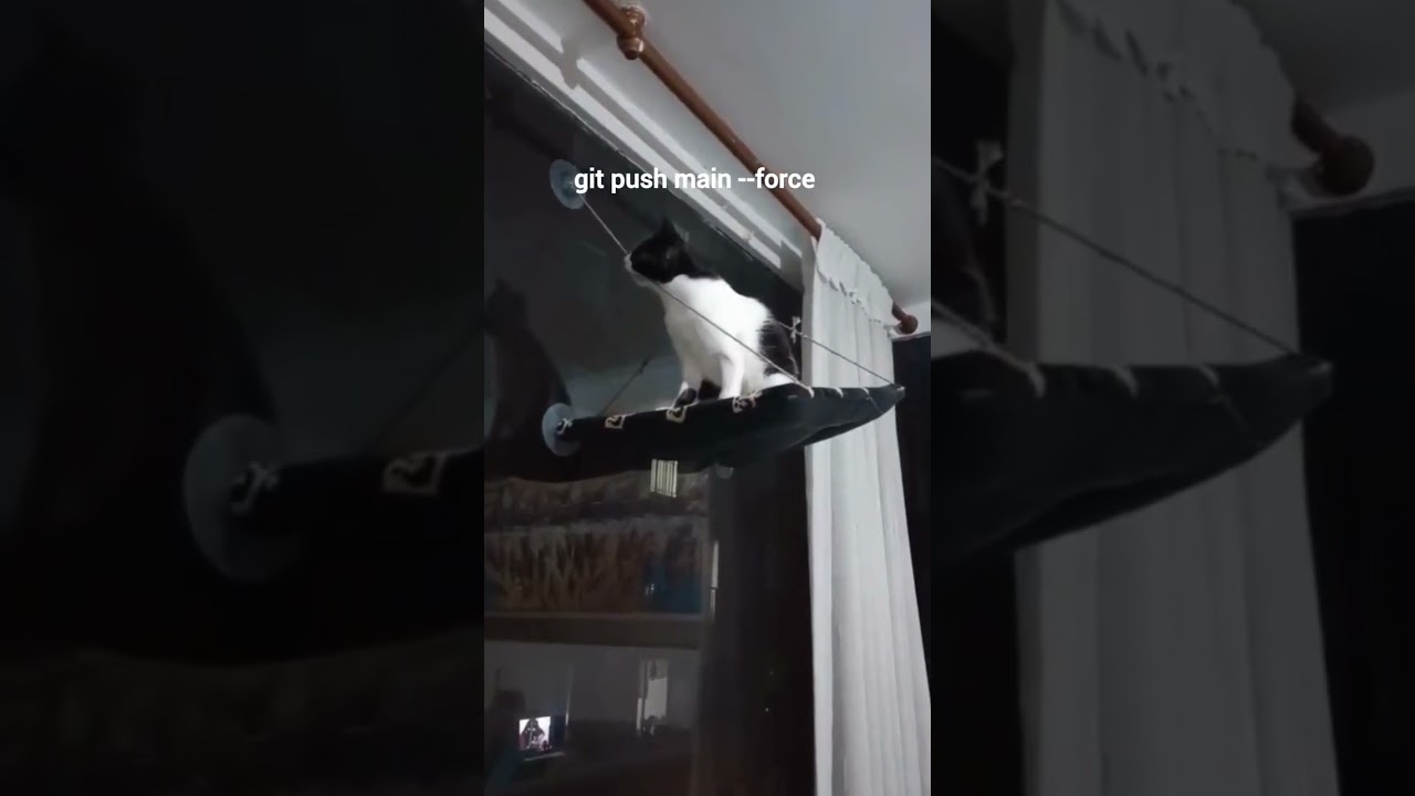 Tag your dev partner 🤪 May the Git --force be with you! 💻✨