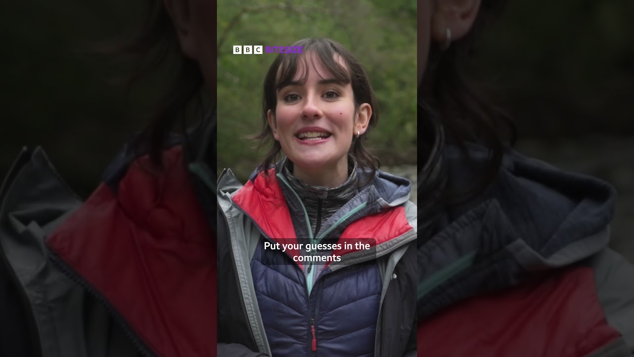 Can you get this #geography question right? #GCSEGeography #Rivers #BBCBitesize