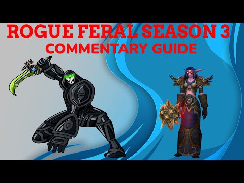 Rogue Feral Commentary Guide 2v2 arena