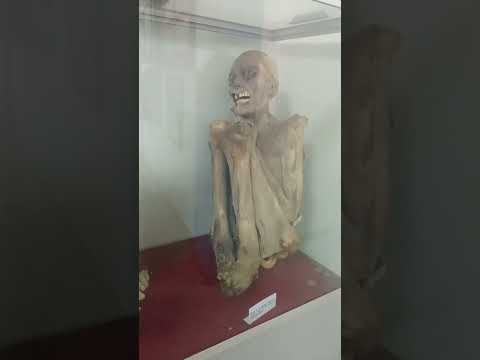 MOMIAS DE PAPAHUASI - CHURUBAMBA (Huánuco).#churubamba#turismo #huánuco