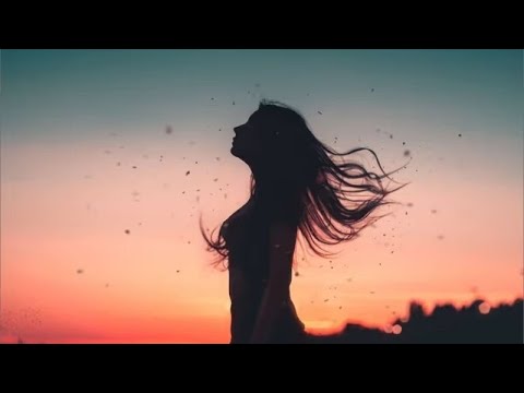 Moein - Elahe naz 2024 | Instagram Top Music 2024 | Deep Music Mix By XonSaroy Prod