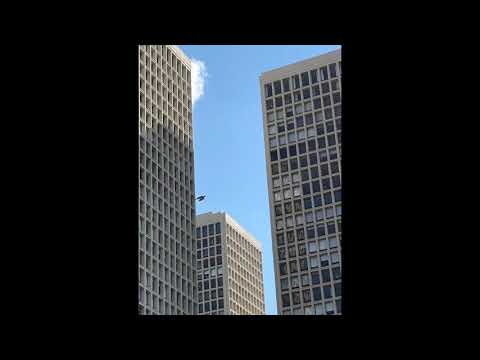 Augustus (boxboys) ~ chamelo