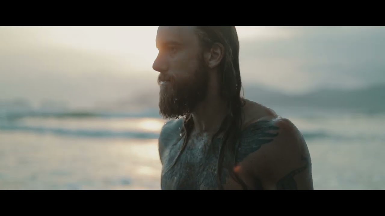 Remady — Into The Wild
