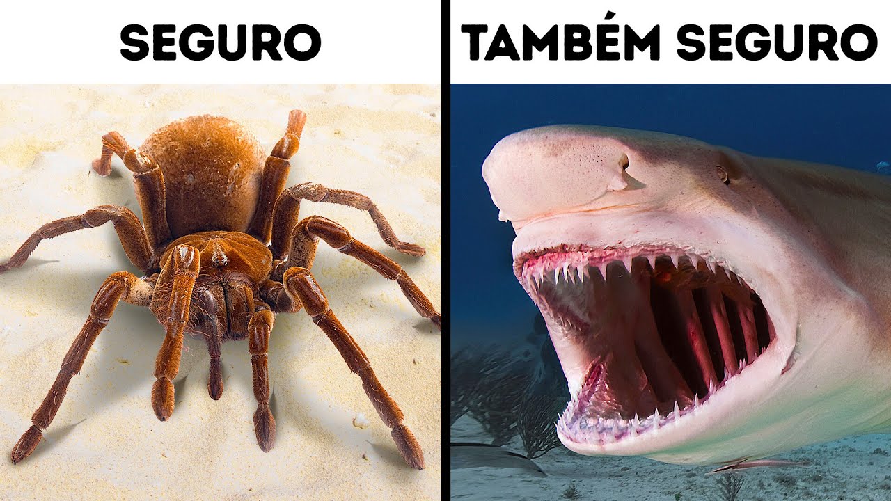 Mais de 70 fatos que farão você dizer "Eu não sabia disso!"