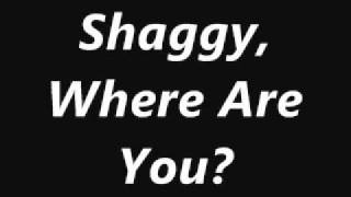 Shaggy, Where Are You? Music Video