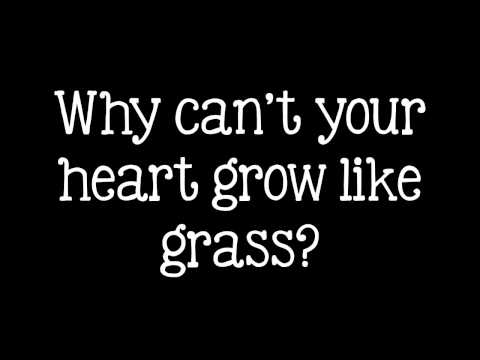 Chris Garneau - The Runt [Lyric Video]