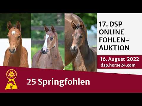 Trailer Onlineauktion 16. August 2022