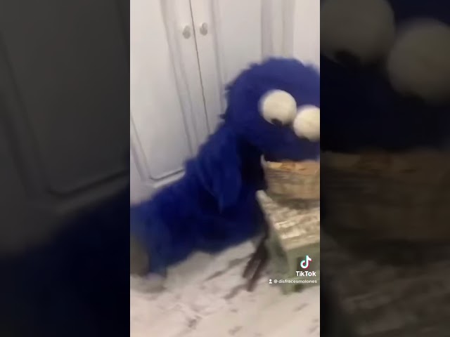 Vídeo relacionado con Ekukeon Disfraz de Monstruo de las Galletas para Adultos Niños,Diadema del Monstruo de las Galletas +Pendiente de Galleta+Collar de Jupe en Tulle Bleu para Halloween, Carnaval, Cosplay (aldult)