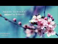 Melodic Techno V47 Boris Brejcha Soul Button James Marley Earthlife