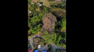 ขายถูกที่ดินเชียงใหม่-ดอยสะเก็ด-บ่อสร้าง พร้อมต้นสักแปลงสวยลำน้ำธรรมชาติล้อมรอบ รูปตัวU