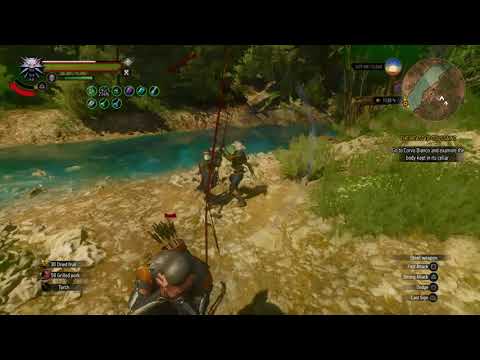 The Witcher 3  Wild Hunt – Whirl Build (Death March w/ Enemy Upscaling)