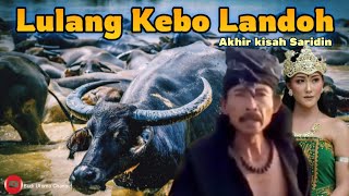 Download lagu Saridin (Syeh Jangkung) || Lulang Kebo Landoh || Episode Akhir mp3