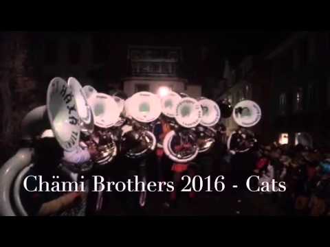 Chämi Brothers 04.02.16 - Cats