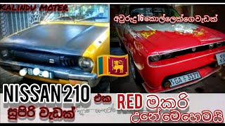 Nissan 210 classic car modified sri lankan RED ම