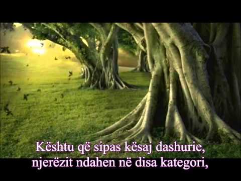 Dashuria ndaj Allahut dhe Pejgamberit salallahu alejhi ve selem - shejh Shenkitij