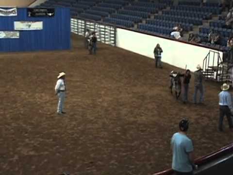 seniorsaleedit HBW H 264 800Kbps