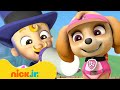 PAW Patrol Pups Take Care Of Baby Mayor Humdinger W Skye Chase 10 Minutes Nick Jr