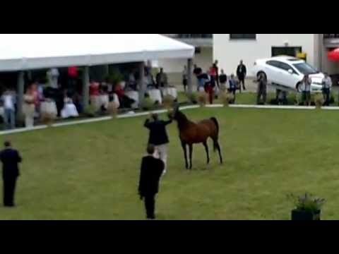 Pianissima - ostatni pokaz 12.08.2012r.