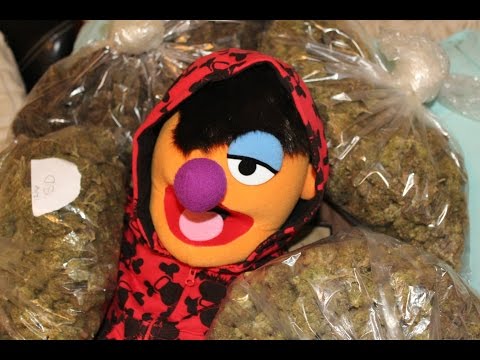 Thumbnail for video: PATIENCE episode 3 "The love episode"