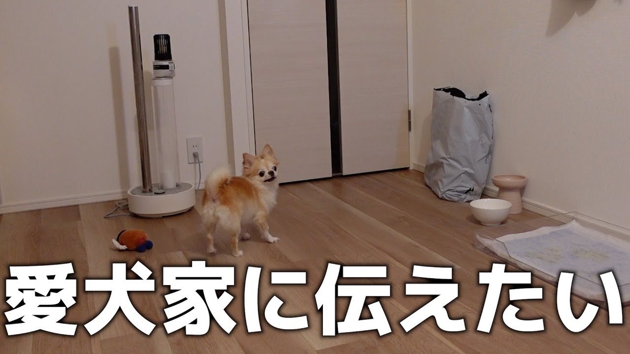 想像以上にショックでした…。