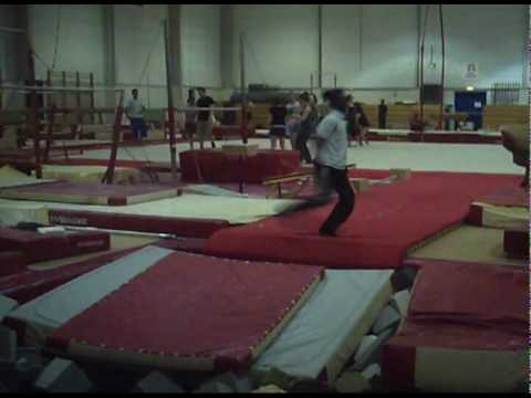 mervin pobi da silva may sampler 2010.avi