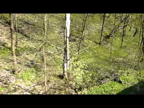 Calatorie cu P3644 pe ruta Pestera - Suncuius (17 04 2011)