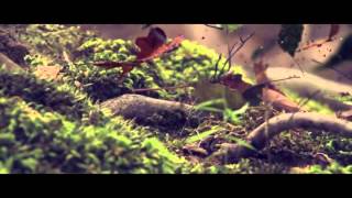 Armin Van Buuren - Humming the lights (Fan Edit)