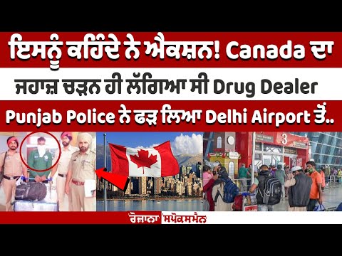 canada ਦਾ ਜਹਾਜ਼ ਚੜਨ ਹੀ ਲੱਗਿਆ ਸੀ Drug Dealer, Punjab Police ਨੇ ਫੜ ਲਿਆ Delhi Airport ਤੋਂ