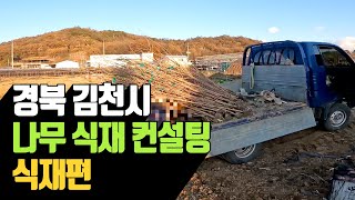 경북 김천시 나무 식재 컨설팅 묘목 식재편 | 나무대장