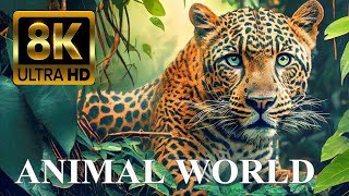 8K ULTRA HD VIDEO:-Biggest Animals In Forest | Elephant Animal Video | Forest Animal Video