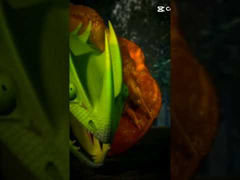 Singetail x Krogan #dragons #httyd