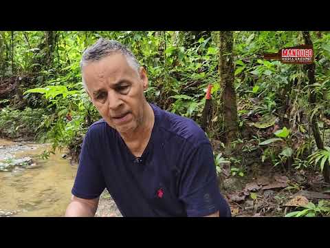 Expedición a Nóvita Vieja :Tras las huellas de la ciudad perdida que fue capital del Chocó
