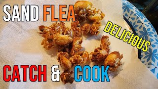 Fried Sand Flea Bites: Catch and Cook